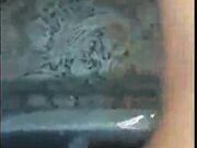 Watching a Monster Cock Creampie My Wife- AlleyKatt