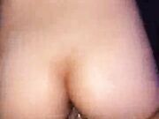 Sexy wife in pigtails sucking bbc