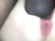 My wife spreads her ass for his BBC