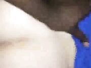 Wife Moans Under Big Black Cock