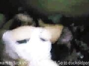 Sexy Japanese wife getting kissed and pussy fucked deep