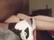 Black guy buttfucking my wife in her purple panties