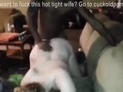 Hubby Watches His Wife Fuck Another BBC