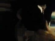 Young BBC CreamPie Squirting Granny Hubby Films