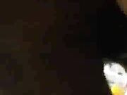 Slutty Little Wife Fucked to Orgasm