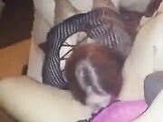 Horny amateur milf fucks BBC in her house