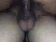 Hot young wife gets plowed by BBC while I'm at work