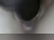 Heiße Stute such Geilen Hengst