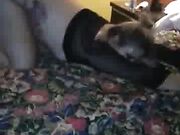 Cheating White Slut sucks BBC while boyfriend is gone