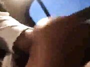 WIFE takes BBC and her husband films it