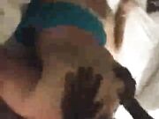 Fucking my wife doggystyle while she creams on my dick