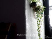 Jaybaesun - Femboy in Straps