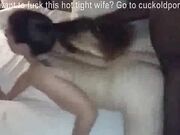 Wife asks black bull to cum insider her