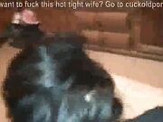 Hot young wife gets plowed by BBC while I'm at work