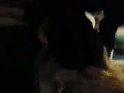 Homemade Cuck Hubby Films Amateur Slut Wife Interracial Fuck