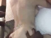 blonde slut fucks bbc so loud and hard