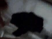 Sorry, dear husband, I fucked my Kenyan boss