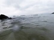 Latina girl public blowjob on the beach and sex - amateur video