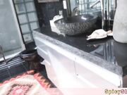 Mom with stepson is bad while pops is away