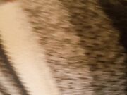 College Girl's Orgasmic After-Party in Mexico District