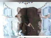 Meine Muschi ist für euch