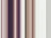 Dein Schwanz gehört mir