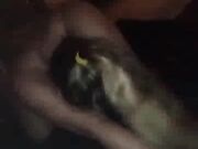 Part 4 of a interracial orgy in a Manhattan hotel