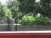 Risky Public Blowjob - Neighbor is So Close!