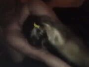 Black man takes my Latina wife doggystyle