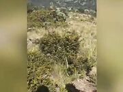 420 Smoking, Outdoor Blowjob and Sex with a View