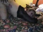 My bitch of a wife seduces y. boy Vol. 7