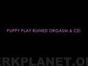 Candy Glitter -  Puppy Play Ruined Orgasm CEI
