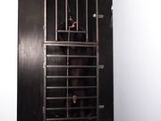 Carlin Says - Cage Trap For Deviants