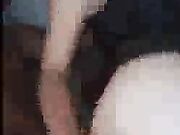 hotwife barebacks bbc bull removes condom in front of hubby