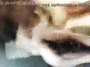 dream wife fucks a bbc