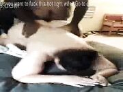 dream wife fucks a bbc