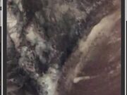 Vanessa Blue Dick Tock 3