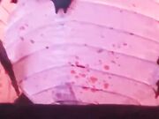 Rayray Sugarbutt - Rock Hard Horror Picture.Show