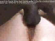 White Wife Holly Black Gang Banged by BBC Huge Cocks