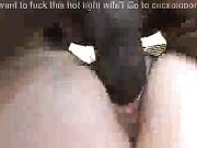 White Wife Holly Black Gang Banged by BBC Huge Cocks