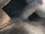 Thick White Girl Sucks And Fucks