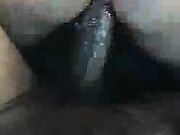 Thick White Girl Sucks And Fucks