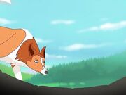 lassie-s-playtime_480p.mp4