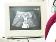 The Fertility Clinic