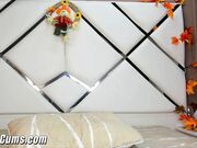 Wild Chick Plays Her Unshaved Cunt