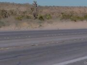 Mariza Lamb picked up by Mystique