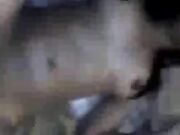 Spoiled Wife Loves Having her Pussy Filled Up With Cum