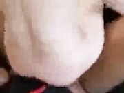 Amazing Hotwife Getting Some BBC While Hubby is Made to Watc