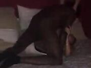 SheWillCheat - Hot Wife Fucks Old Class Mate