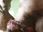 Young Milf Gets BBC Creampie